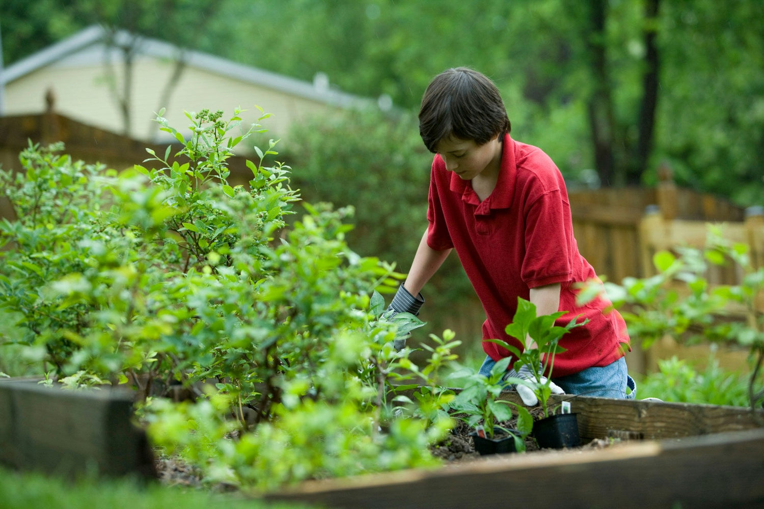 Eco-Friendly Gardening