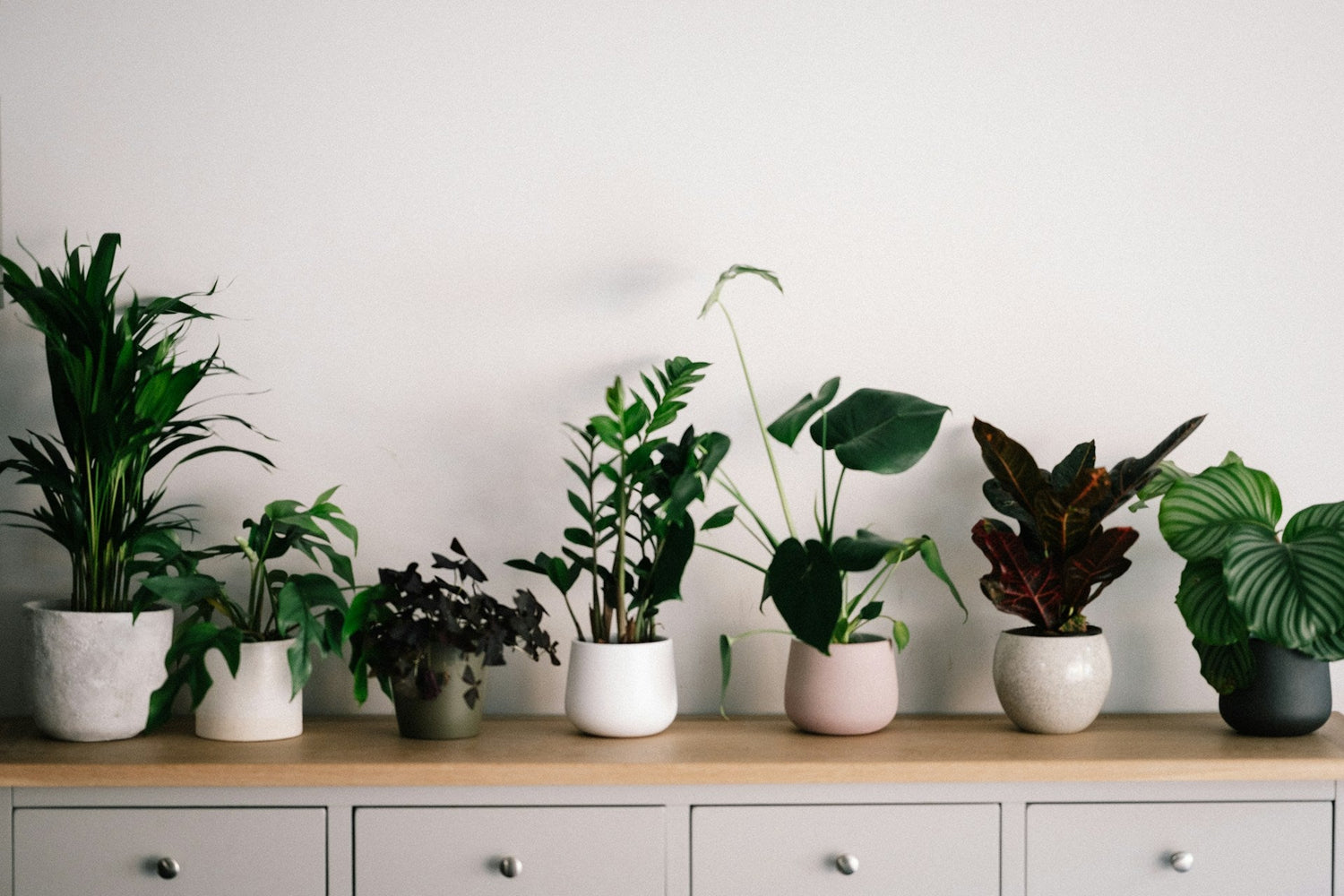 Plant Pots & Planters