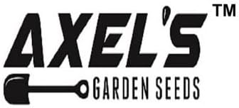 Cabbage Seeds for Planting – Non-GMO Heirloom Vegetable Seeds – Full Instruction Packets to Plant in Your Home Outdoor Garden – Gardening Gift – 200 Copenhagen Cabbage Seeds Per Pack (1 Packet)