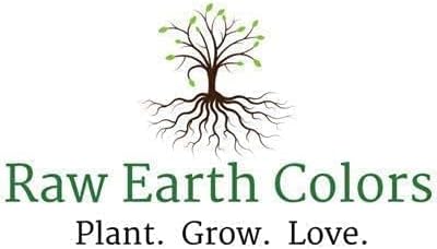 Dwarf Sunflower Seeds for Planting