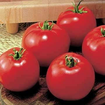 Park Seed Variety of Tomato Vegetable Seeds, Plant Seeds, Easy to Grow, Perfect for Harvesting, MoneyMaker, Pack of 20