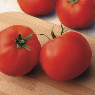 Park Seed Variety of Tomato Vegetable Seeds, Plant Seeds, Easy to Grow, Perfect for Harvesting, Big Yummy Hybrid, Pack of 250