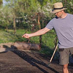 Crimson Clover Seeds (Coated) - 25 Lb Bulk - Garden Cover Crop, Non-GMO, Open Pollinated, Perennial, Heirloom - Coated for Easy Planting