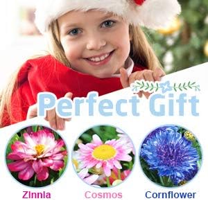 Kids Paint & Planting Flower Growing Kit, 27Pcs Childrens Gardening Plant Kits Arts & Crafts Garden Toy Set Birthday for Girls & Boys Age 4, 5, 6, 7, 8-12 Years Old