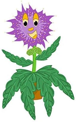 TickleMe Plant Seeds Pack (2) – Fun Party Favor, Leaves Fold When Touched! Easy to Grow Indoors, Can Flower, Includes 10 Activities, Reopens in Minutes – Perfect for Valentine's Day!