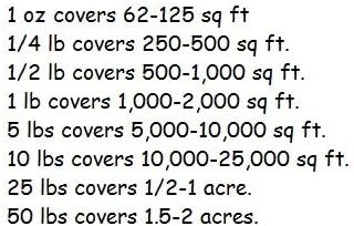 Dirt Goddess Super Seeds ~ Cornflower/Bachelor Button Seeds - Tall Mix Centaurea cyanus (1/4 Lb) 22,500 Seeds