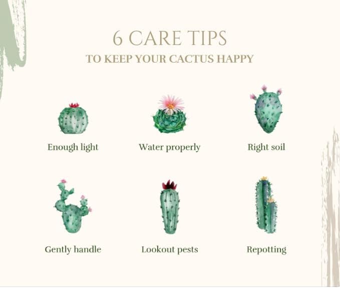 Tank's-Pro Cactus & Succulent Mix 16 qt Bag