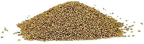 Alfalfa Sprouting Seed | Non GMO | Grown in USA | from Our Farm to Your Door (1 Pound (16oz))