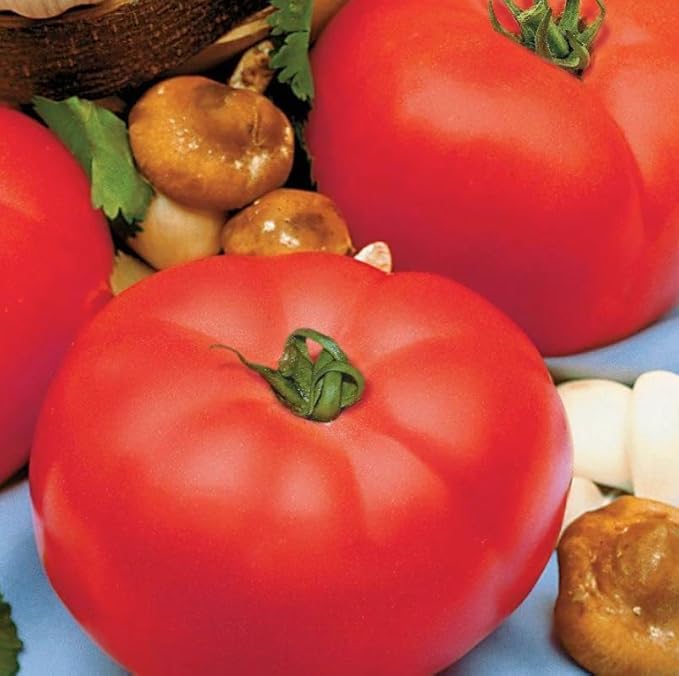 Park Seed Variety of Tomato Vegetable Seeds, Plant Seeds, Easy to Grow, Perfect for Harvesting, Beefmaster Hybrid, Pack of 1000