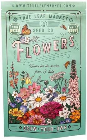 Northeastern Wildflower Seeds Bulk – 1/4 lb, 160,000+ Seeds – Native Northeast Wildflower Mix – Annual & Perennial Flower Seed for Planting – Pollinator-Friendly Garden Mix