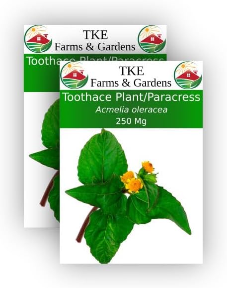 TKE Farms - Toothache Plant/Paracress Seeds for Planting, 250 Mg, Approximately 1000 Seeds, Acmelia oleracea, Non-GMO, Heirloom, Qty 2