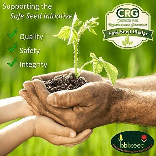 Fragrant Wildflower Seeds Mix - 1oz, Aromatic Annual and Perennial Wildflower Seeds – Create The Perfect Garden with Non-GMO Natural Seeds!