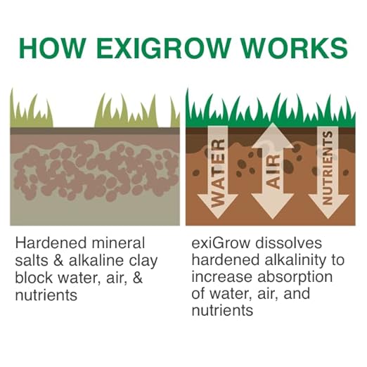 ExiGrow Alkaline Soil Treatment - Soil Loosener - Soil Conditioner - Soil Softener - Liquid Aeration - Any Grass Type - Repair Compact Soil, Standing Water, Poor Drainage - 32oz