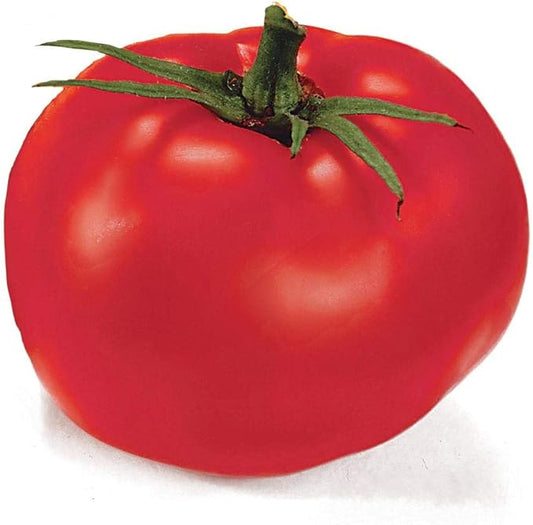 Park Seed Variety of Tomato Vegetable Seeds, Plant Seeds, Easy to Grow, Perfect for Harvesting, Better Boy Hybrid, Pack of 30