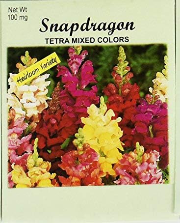 Set of 50 Flower Seed Packets! Flower Seeds in Bulk (50, Snapdragon)
