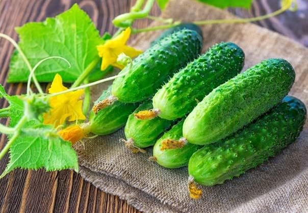 Seeds Self-Pollinated Cucumber Be st Seller 37 Days for Pickling Indoor Non GMO Hybrid