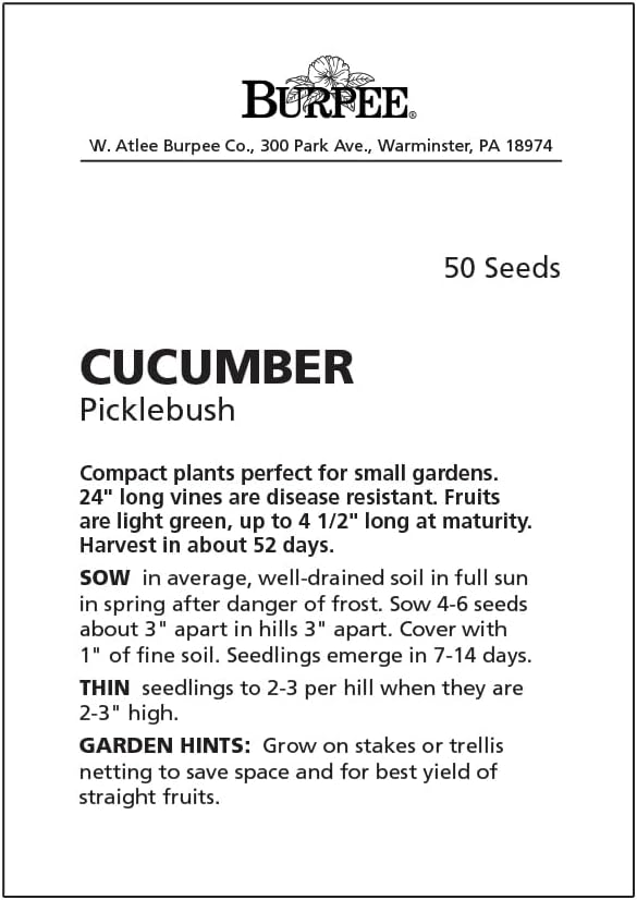 Burpee 'Picklebush' Pickling Cucumber Seeds, 50 Non-GMO seeds, Container Friendly, Burpee Exclusive