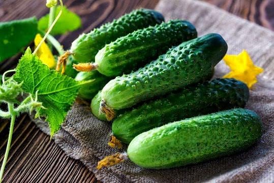 Seeds Self-Pollinated Cucumber Be st Seller 37 Days for Pickling Indoor Non GMO Hybrid
