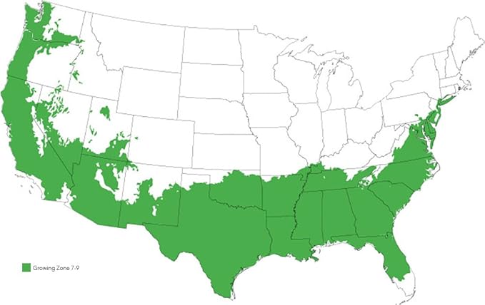 RED Ruffles Azalea, Live Plant, Includes Special Blend Fertilizer & Planting Guide (3 Gallon)