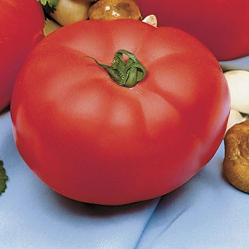 Park Seed Variety of Tomato Vegetable Seeds, Plant Seeds, Easy to Grow, Perfect for Harvesting, Beefmaster Hybrid, Pack of 30