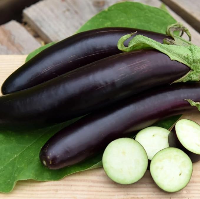 Seeds Eggplant Long Pop - Heirloom Vegetable - GMO Free