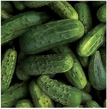 Park Seed National Pickling Cucumber Seeds, A Favorite Heirloom, Pack of 30 Seeds