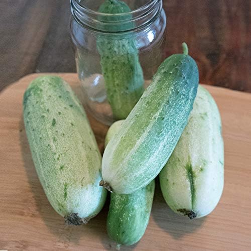 Park Seeds F1 Garden Bush Cucumber Pickle Seeds, Perfect for Pickling and Porch Growing, Pack of 30 Seeds