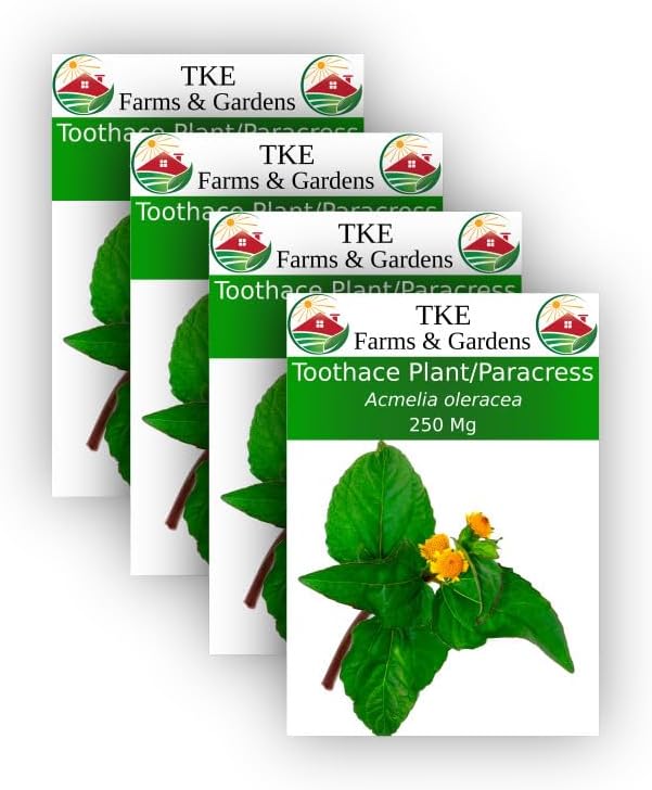 TKE Farms - Toothache Plant/Paracress Seeds for Planting, 250 Mg, Approximately 1000 Seeds, Acmelia oleracea, Non-GMO, Heirloom, Qty 4