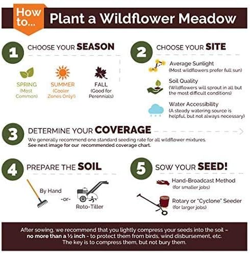 Non GMO Bulk Lupine Mix Flower Seed 7 Species of Wildflower Seeds (5 lbs)