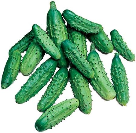 Park Seed Parisian Gherkin Hybrid Cucumber Seeds, Organic and Award-Winning, Pack of 30 Seeds