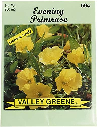 Set of Flower Seed Packets! Flower Seeds in Bulk - Great for Creating The Garden of Your Dreams! (200, Evening Primrose)