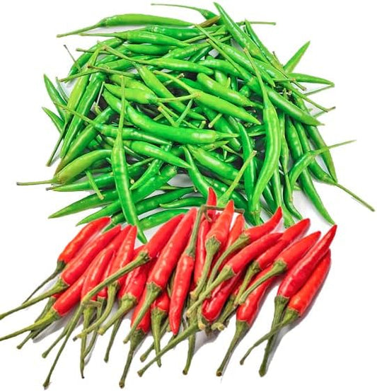 2025 Early Bird-Hot Pepper Seeds for Planting,Non-GMO Heirloom Seeds Vegetable Seeds,Asian Chile Pepper Seeds for Home Vegetable Garden & Hydronic Pods,泰国小米椒(50ct Veggie Seeds-Thai Bird)