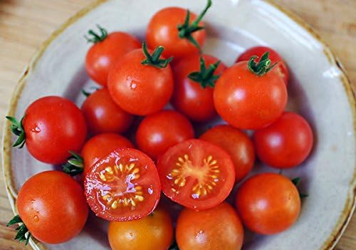 30 Dwarf Red Robin Tomato Seeds, Heirloom Non-GMO, Sweet, Low Acid, Determinate, Open-Pollinated, Delicious, Solanum lycoperscium, from USA