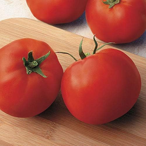 Park Seed Variety of Tomato Vegetable Seeds, Plant Seeds, Easy to Grow, Perfect for Harvesting, Big Yummy Hybrid, Pack of 25