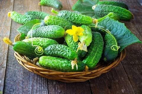 Seeds Self-Pollinated Cucumber Be st Seller 37 Days for Pickling Indoor Non GMO Hybrid
