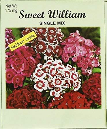 Set of 50 Flower Seed Packets! Flower Seeds in Bulk (50, Sweet William)