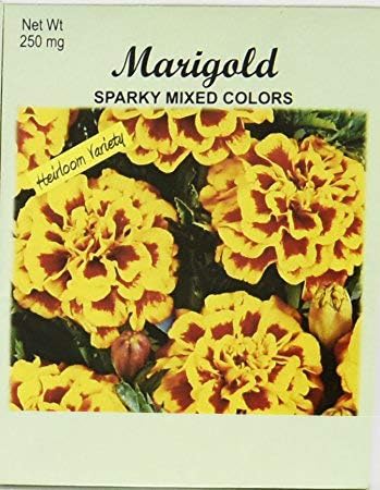 Set of 50 Flower Seed Packets! Flower Seeds in Bulk (50, Marigold Sparky Mix)