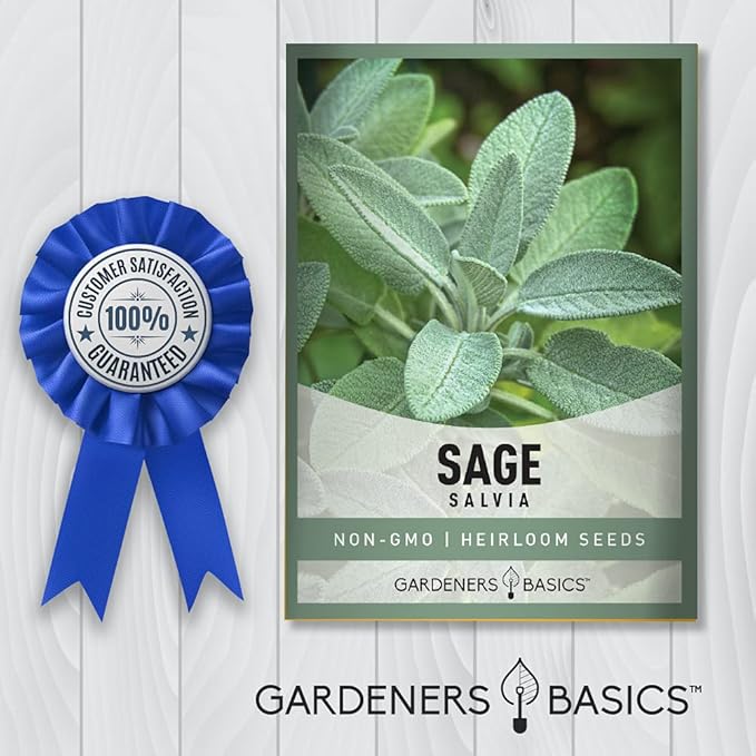Gardeners Basics, Sage Seeds for Planting Heirloom, Non-GMO Herb Variety- Great for Indoor and Outdoor Gardening