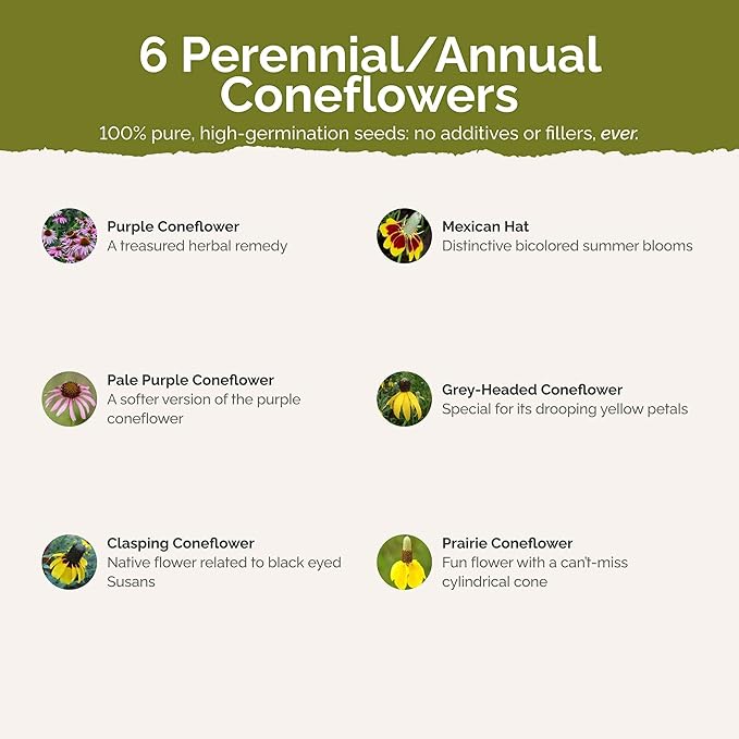 Eden Brothers Conehead Flower Mixed Seeds for Planting, 1/4 lb, 120,000+ Seeds with Prairie Coneflower, Mexican Hat | Attracts Pollinators, Plant in Spring or Fall, Zones 3, 4, 5, 6, 7, 8, 9, 10