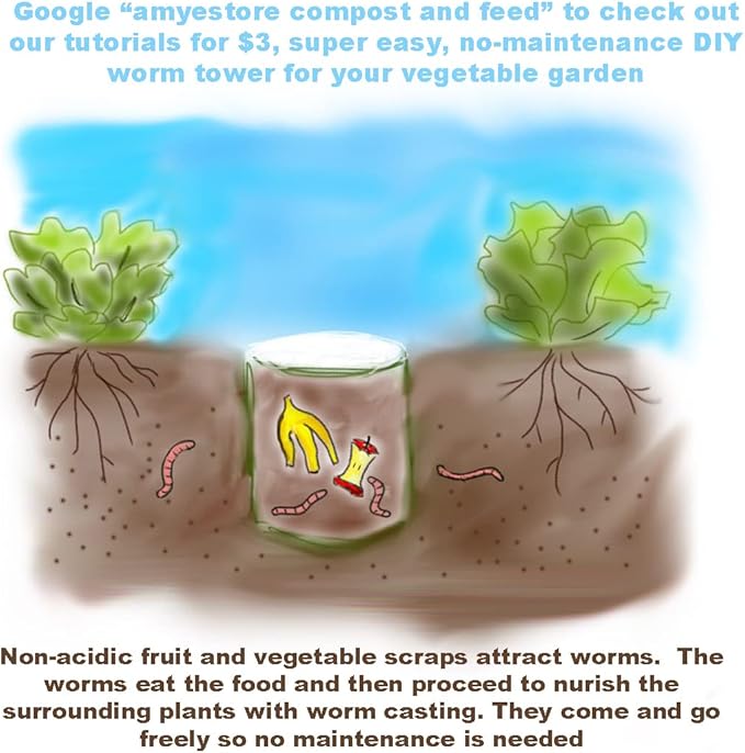 2025 Early Bird-Hot Pepper Seeds for Planting,Non-GMO Heirloom Seeds Vegetable Seeds,Asian Chile Pepper Seeds for Home Vegetable Garden & Hydronic Pods,泰国小米椒(50ct Veggie Seeds-Thai Bird)