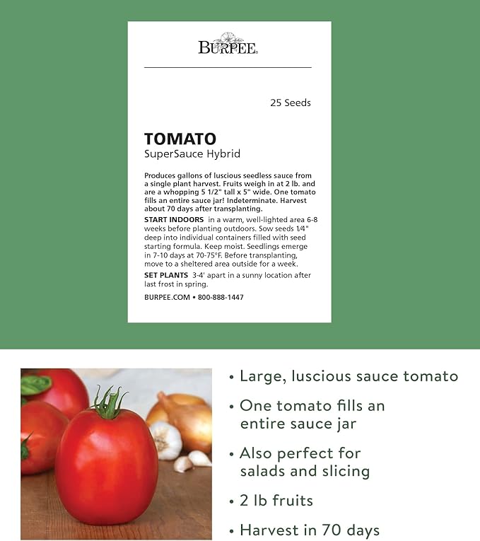 Burpee Exclusive 'SuperSauce' Hybrid, 25 Non-GMO Large Red Sauce & Paste Tomato Variety, Vegetable Seeds for Planting Home Garden