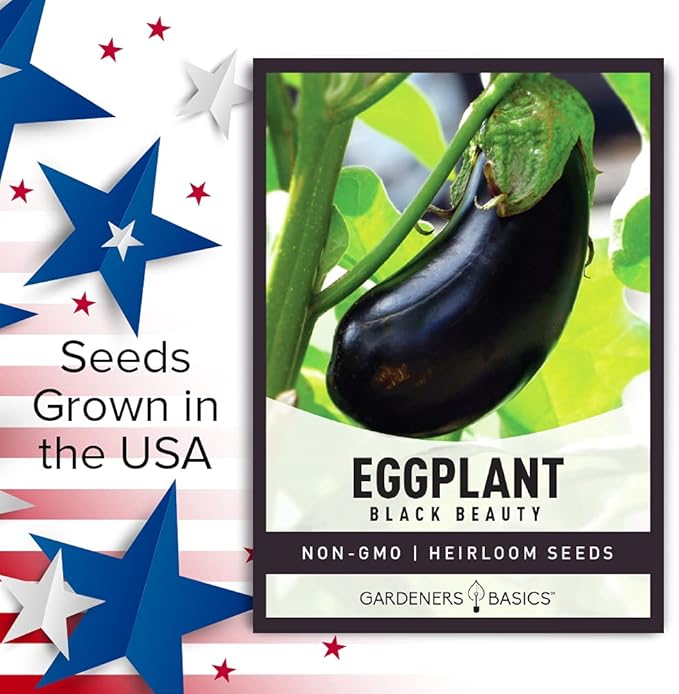 Gardeners Basics, Eggplant Seeds for Planting - Black Beauty Solanum melongena is A Great Heirloom, Non-GMO Vegetable Variety- 300 mg Seeds Great for Outdoor Spring, Winter and Fall Gardening