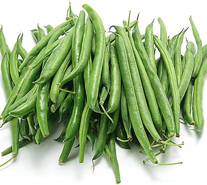 Burpee Stringless Green Bean Seeds - 40+ Seeds