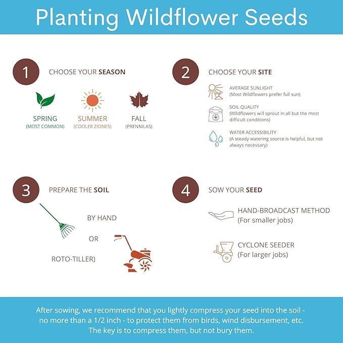 32,500~ Seeds - Bird & Butterfly Wildflower Pollinator Mix - Perennial & Annual Wild Flowers for Spring & Fall - Planting Outdoors for Hummingbirds & More - Lisianthus, Sunflower, Calendula, Yarrow