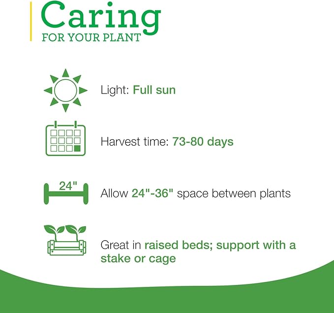 Bonnie Plants Roma Classic Paste Tomato - 4 Pack Live Plants, Great For Sauces, 3 Inch Long Fruit, Determinate, Non-GMO, Brown/A