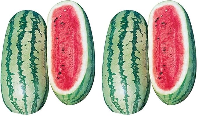 Burpee Georgia Rattlesnake Watermelon Seeds 100 Seeds (Pack of 2)