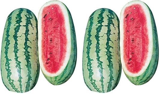 Burpee Georgia Rattlesnake Watermelon Seeds 100 Seeds (Pack of 2)