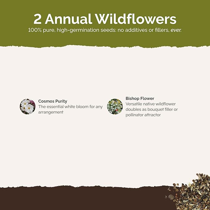 Eden Brothers Moon Garden Flower Mixed Seeds for Planting, 1 oz, 30,000+ Seeds with Cosmos Purity, Bishop's Flower | Attracts Pollinators, Plant in Spring or Fall, Zones 3, 4, 5, 6, 7, 8, 9, 10