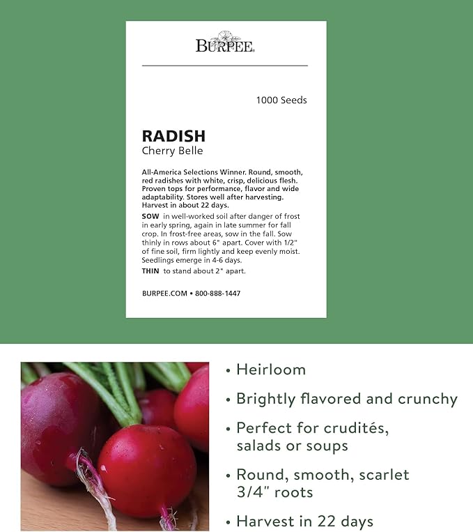 Burpee Cherry Belle Radish Seeds 1000 seeds