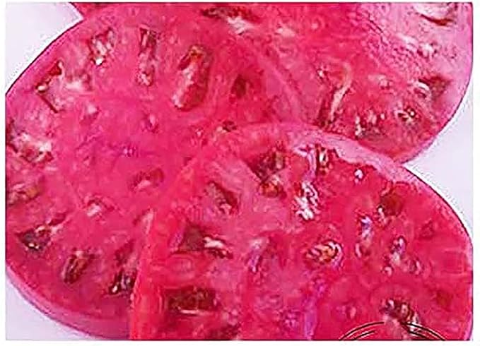 Watermelon Beefsteak Tomato Seeds - Large Tomato - Delicious Tomato for Home Growing